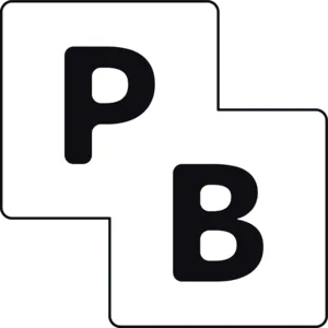 PocketBase logo